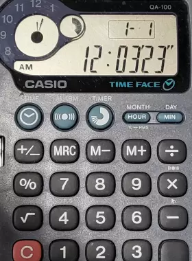 QA-100GY CASIO Folding Calculator #3