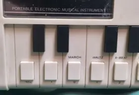 CONCERTMATE-200 REALISTIC Battery Cover #3